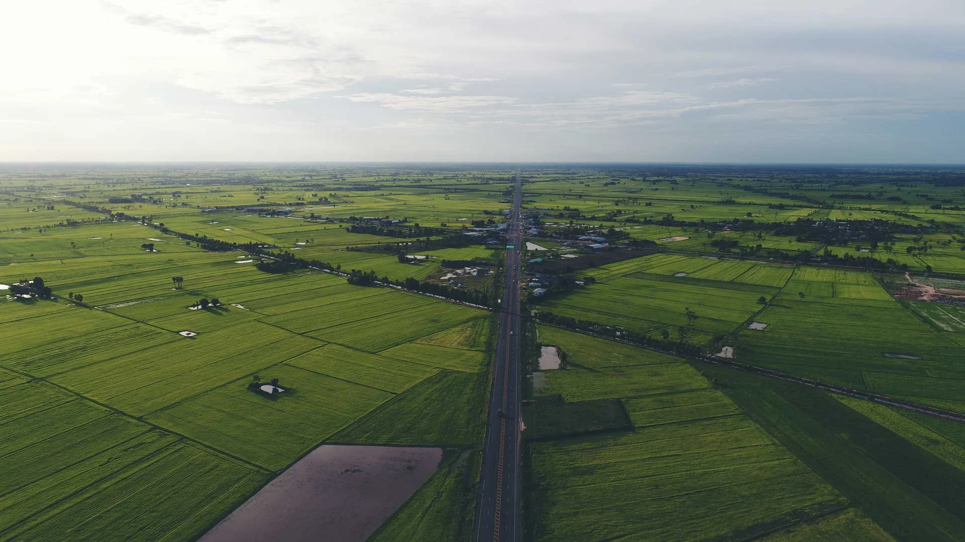 Real Estate Gadchiroli: Top Reasons to Invest in This Growing Market